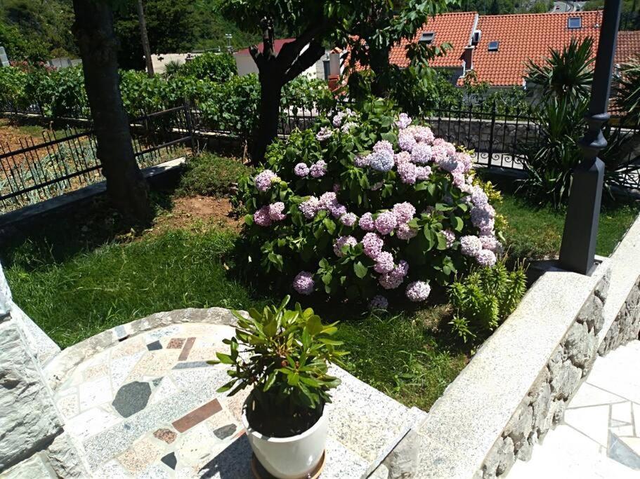 Apartment Mediterranean Garden Fiume Kültér fotó