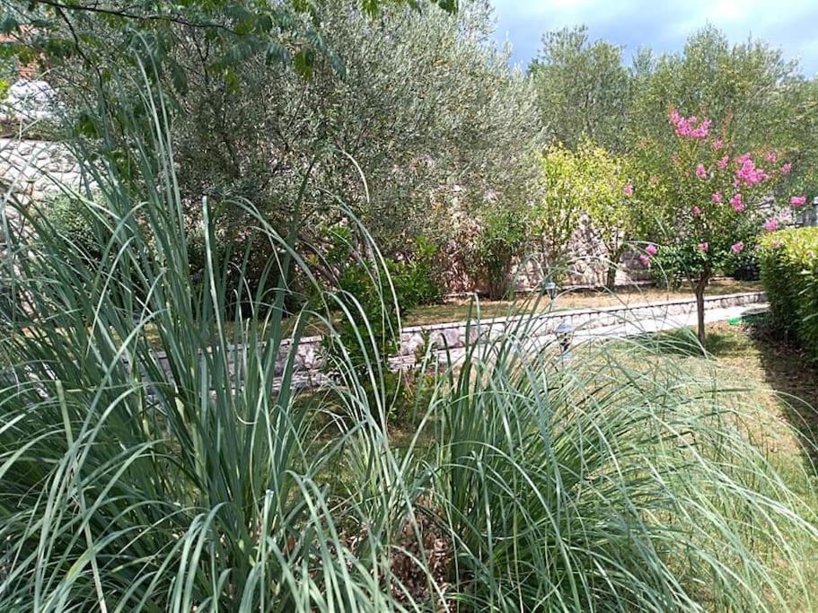 Apartment Mediterranean Garden Fiume Kültér fotó