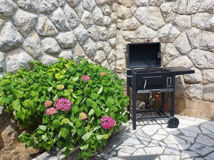 Apartment Mediterranean Garden Fiume Kültér fotó
