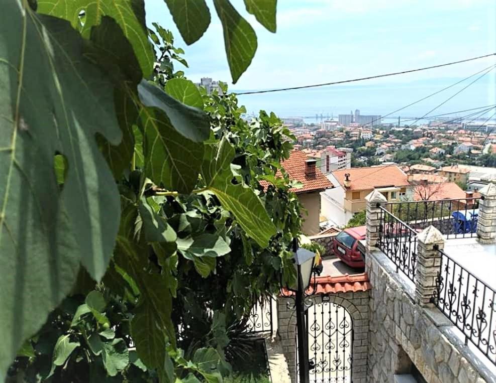 Apartment Mediterranean Garden Fiume Kültér fotó