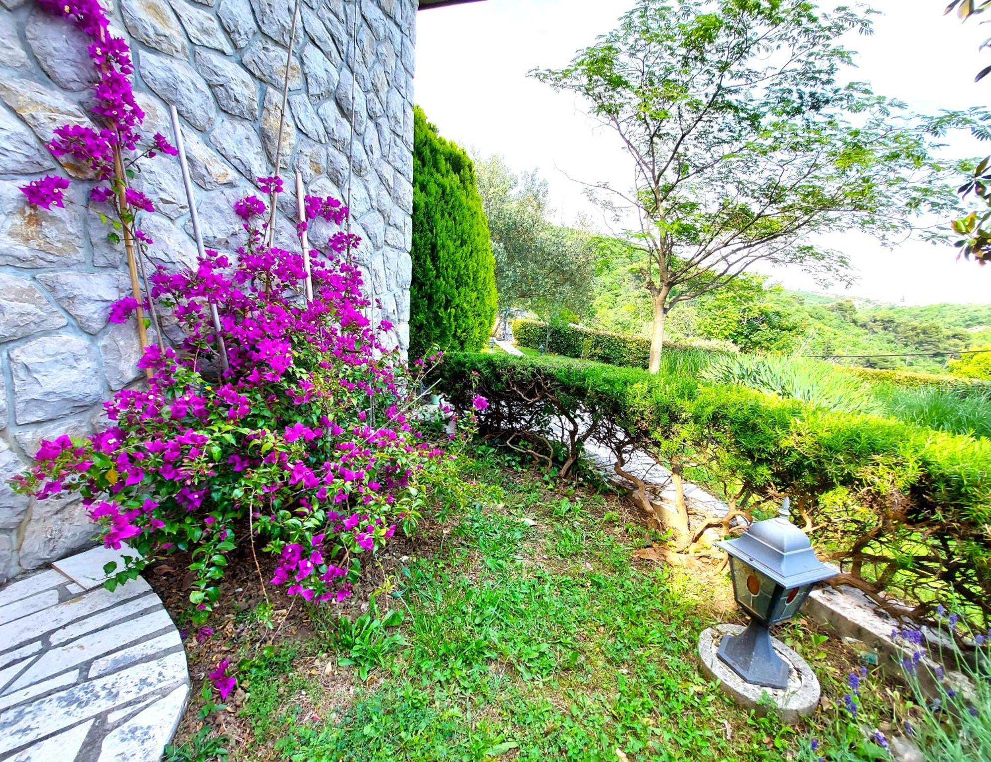 Apartment Mediterranean Garden Fiume Kültér fotó
